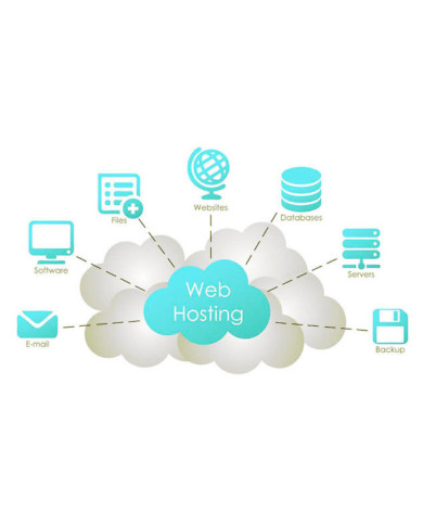 Business Web Hosting